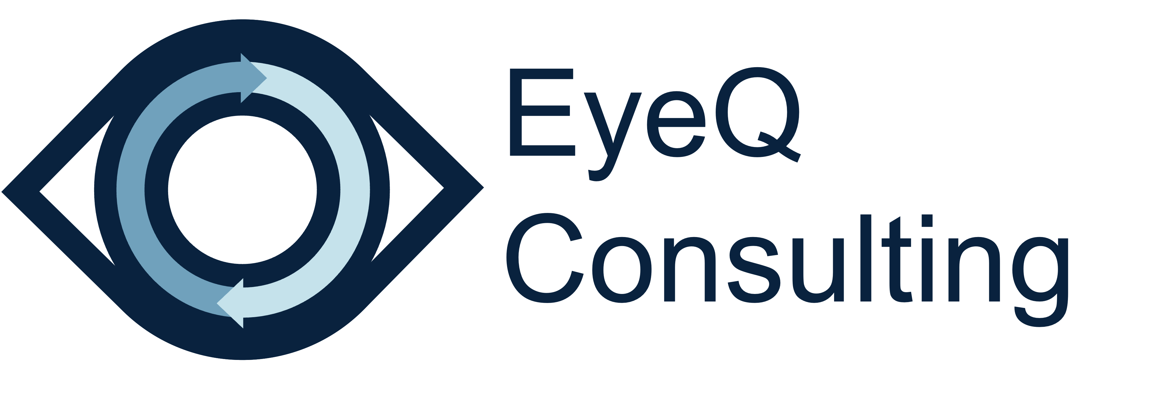 EyeQ Consulting